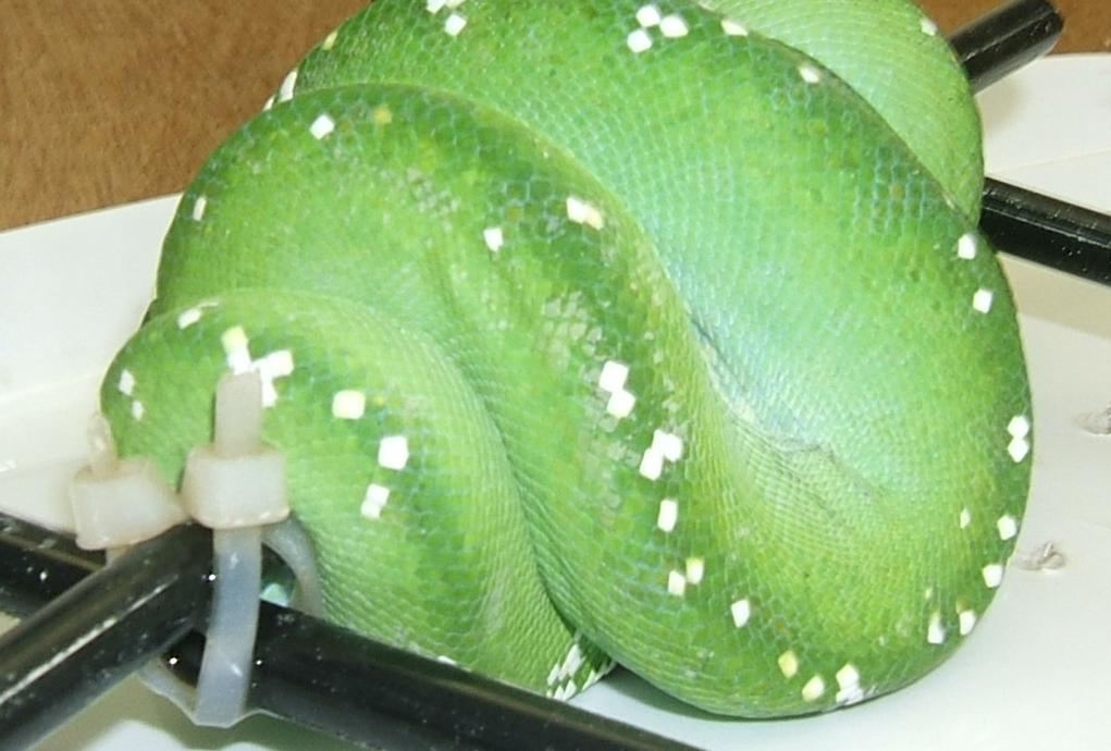 silver on gtp