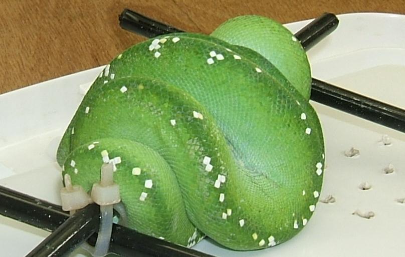 silver on gtp