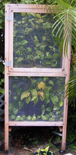 Cham cage