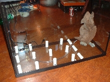 Whites Viv 2