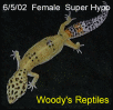 6.5.02  Female  Super Hypo
