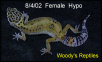 8.4.02  Female Hypo
