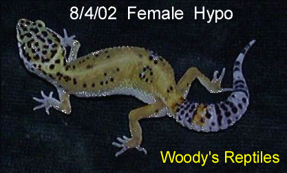 8.4.02  Female Hypo