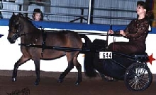Mountain Highs AMayZing at Nationals