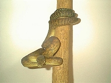 Female Merauke Southern Scrub 3