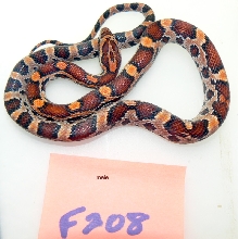 #208