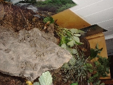 Turtle Terrarium- one end of it