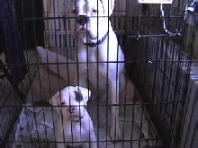 lil felons
