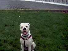cheeeeeeese!