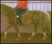 gaits
