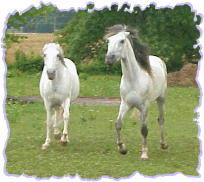 Ickis and Zumi