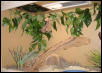 left side of new cage