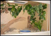 right side of new cage