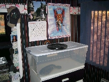 My new feeding tub