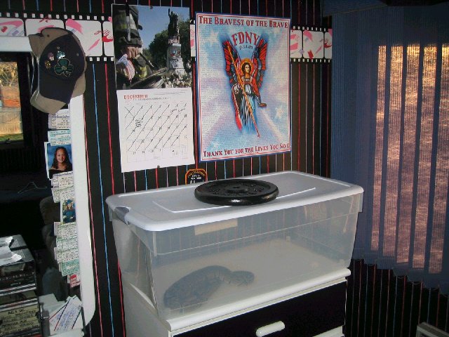 My new feeding tub