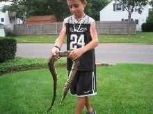 Took Pic  8-10-03 (Now 11/25/03 Ball Not Eating)