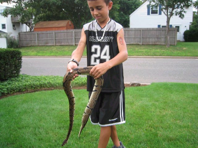 Took Pic  8-10-03 (Now 11/25/03 Ball Not Eating)