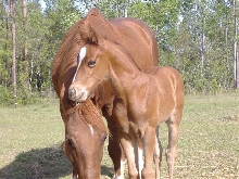kasey 2 wks old