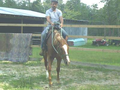 Rebel riding