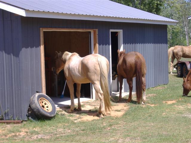 butt pic