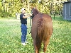 Butt Shot LOL