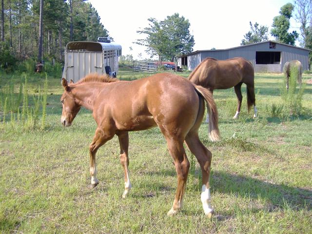 Kasey 3 months old