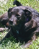 Kaya