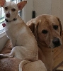 Sandie and Luna