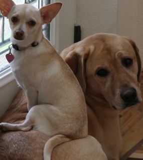 Sandie and Luna