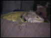 Shirley Hanging Out