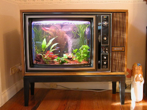 My TV Tank