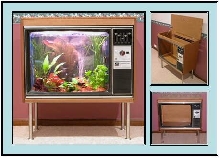TV Aquarium