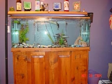New Tank