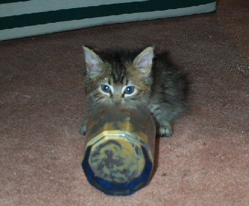 Mmmm... pudding.