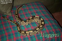 Huggies
