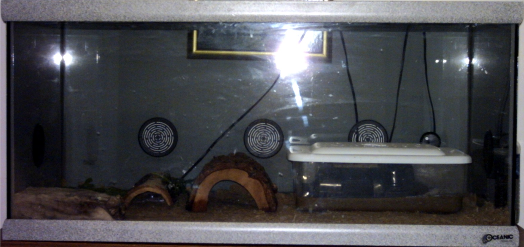breeder Leo Setup