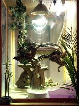 Bindi's Loft close-up