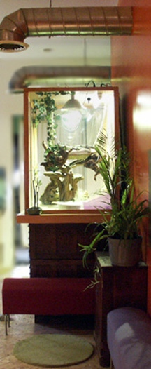 Bindi's Loft