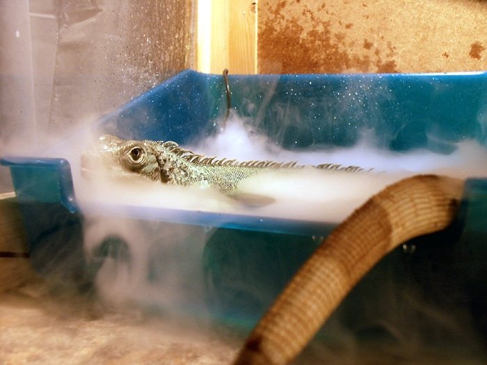 Dixi Soaking