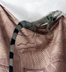 Lorca & Curtain 2
