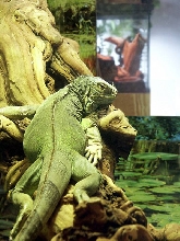 Uta-Mina Relaxing