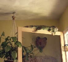 Uta-Mina on her Door