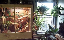 Diego's Iguanarium View 1