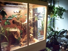 Diego's Iguanarium View 2