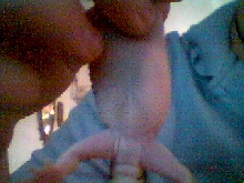 gravid?