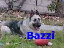 My boy, Bazzi