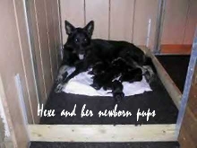 Proud Mommy!
