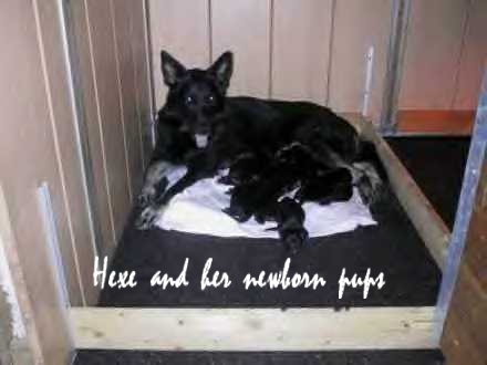 Proud Mommy!