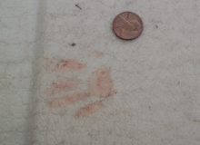 foot print