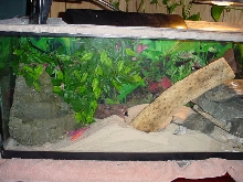 Xena & Scholtz's Vivarium